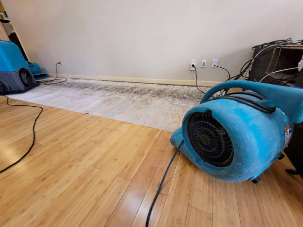 Professional Sewage Cleanup technician working in Petaluma, CA
